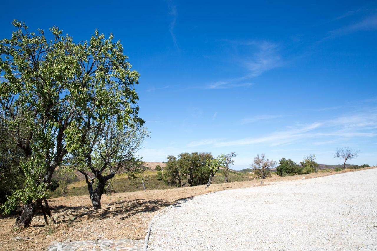 Desafios da Horta Souto da Velha Exterior foto